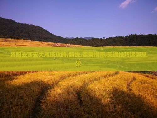 资阳去西安大雁塔攻略