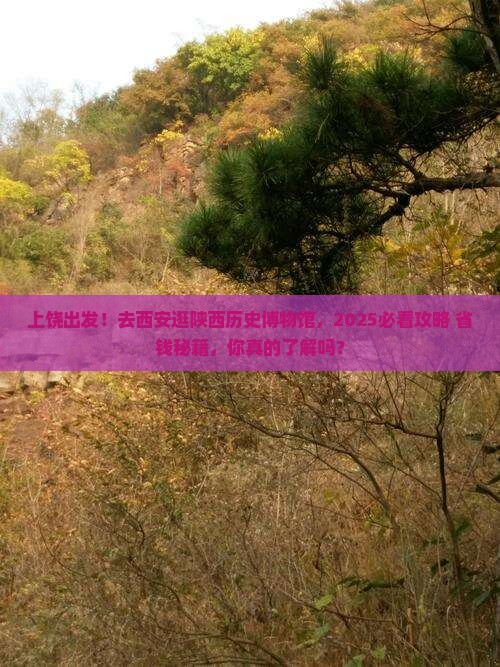 上饶去西安陕西历史博物馆大型旅游团