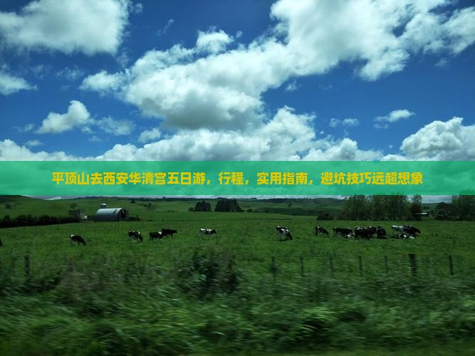 平顶山去西安华清宫五日游