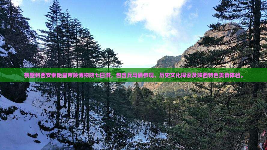 鹤壁到西安秦始皇帝陵博物院七日游