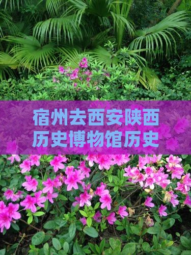 宿州去西安陕西历史博物馆攻略