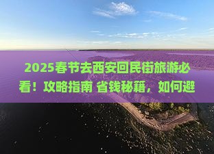 春节去西安回民街旅游