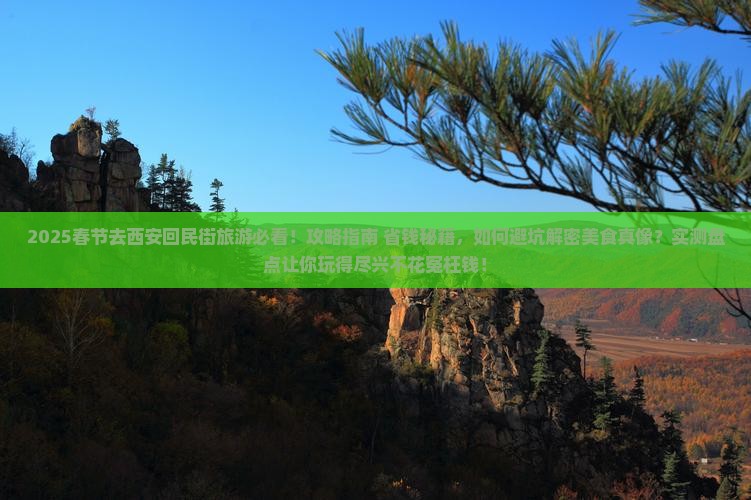春节去西安回民街旅游