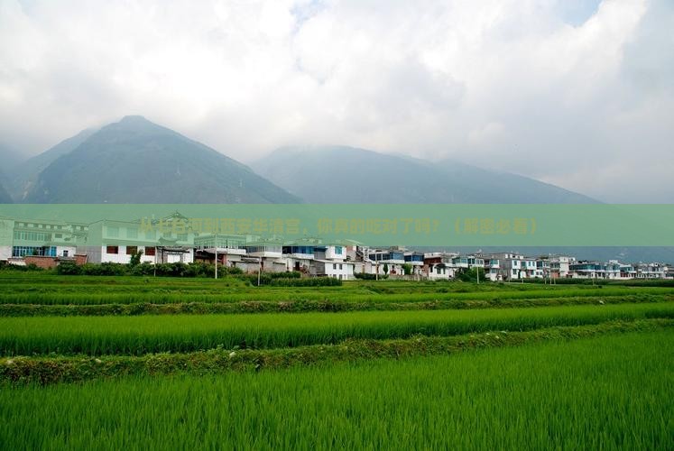 七台河到西安华清宫旅游小吃