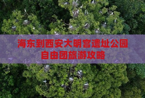 海东到西安大明宫国家遗址公园自由团