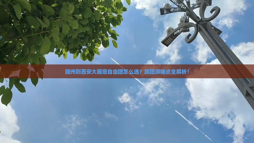 随州到西安大雁塔自由团