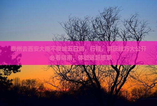泰州去西安大唐不夜城五日游
