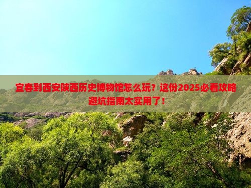 宜春到西安陕西历史博物馆攻略