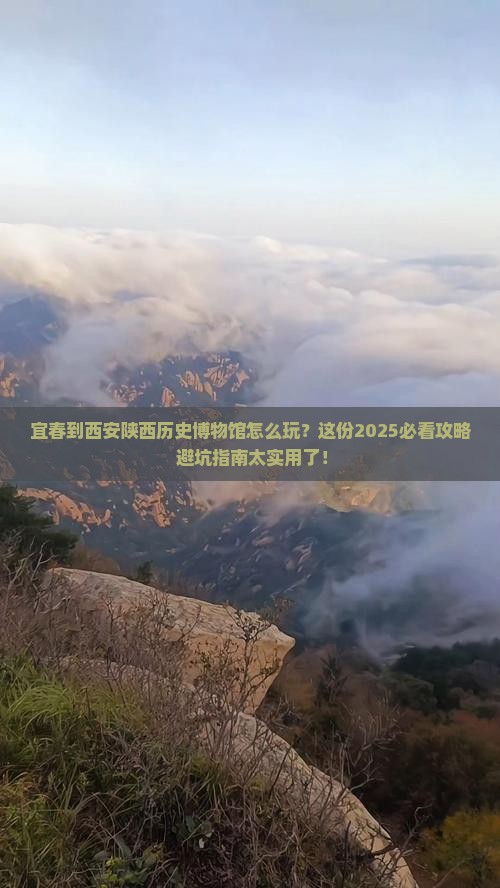 宜春到西安陕西历史博物馆攻略