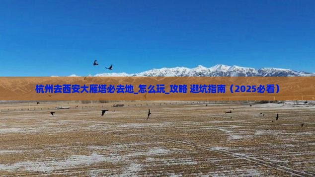 杭州去西安大雁塔必去地