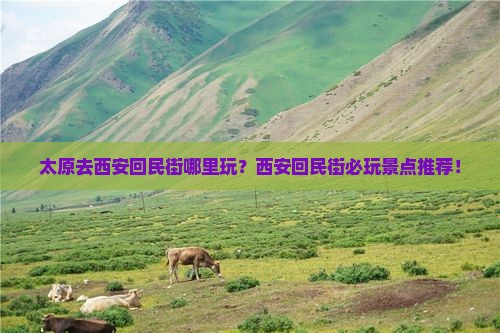 太原去西安回民街哪里玩