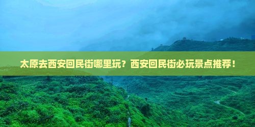 太原去西安回民街哪里玩