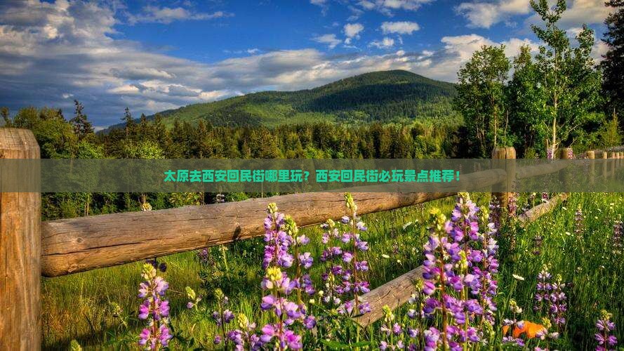 太原去西安回民街哪里玩