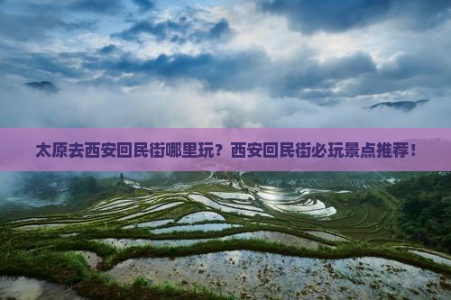 太原去西安回民街哪里玩