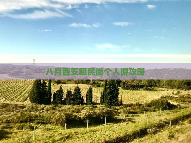 八月去西安回民街个人游