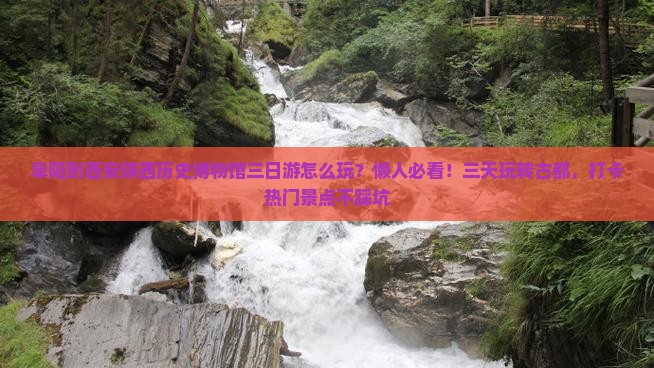 阜阳到西安陕西历史博物馆三日游