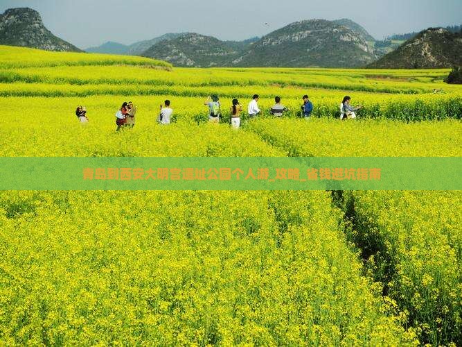青岛到西安大明宫国家遗址公园个人游