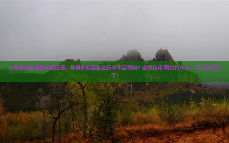 长葛去西安回民街四日游