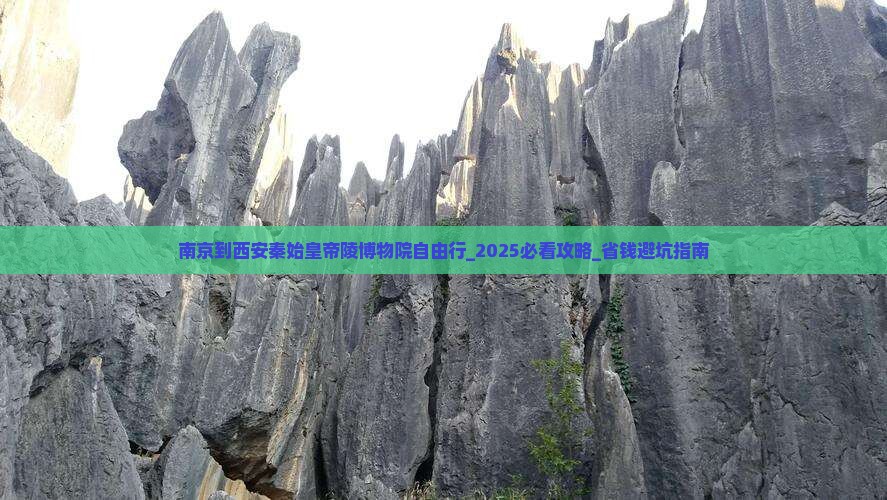 南京到西安秦始皇帝陵博物院自由行