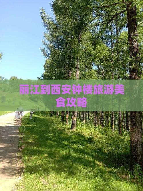 丽江到西安钟楼旅游小吃
