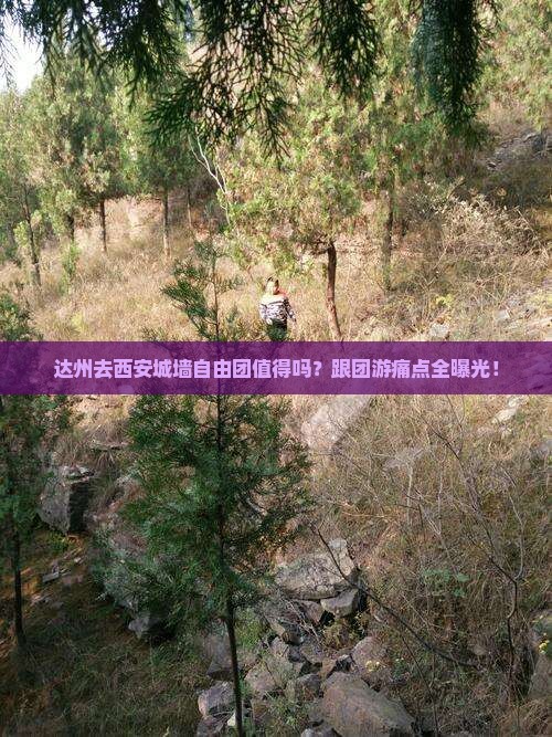 达州去西安城墙自由团 达州去西安城墙自由团