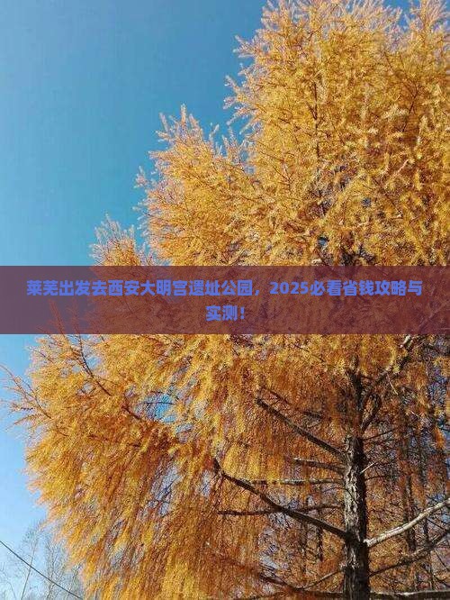 莱芜去西安大明宫国家遗址公园自由团