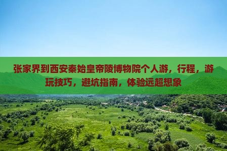张家界到西安秦始皇帝陵博物院个人游