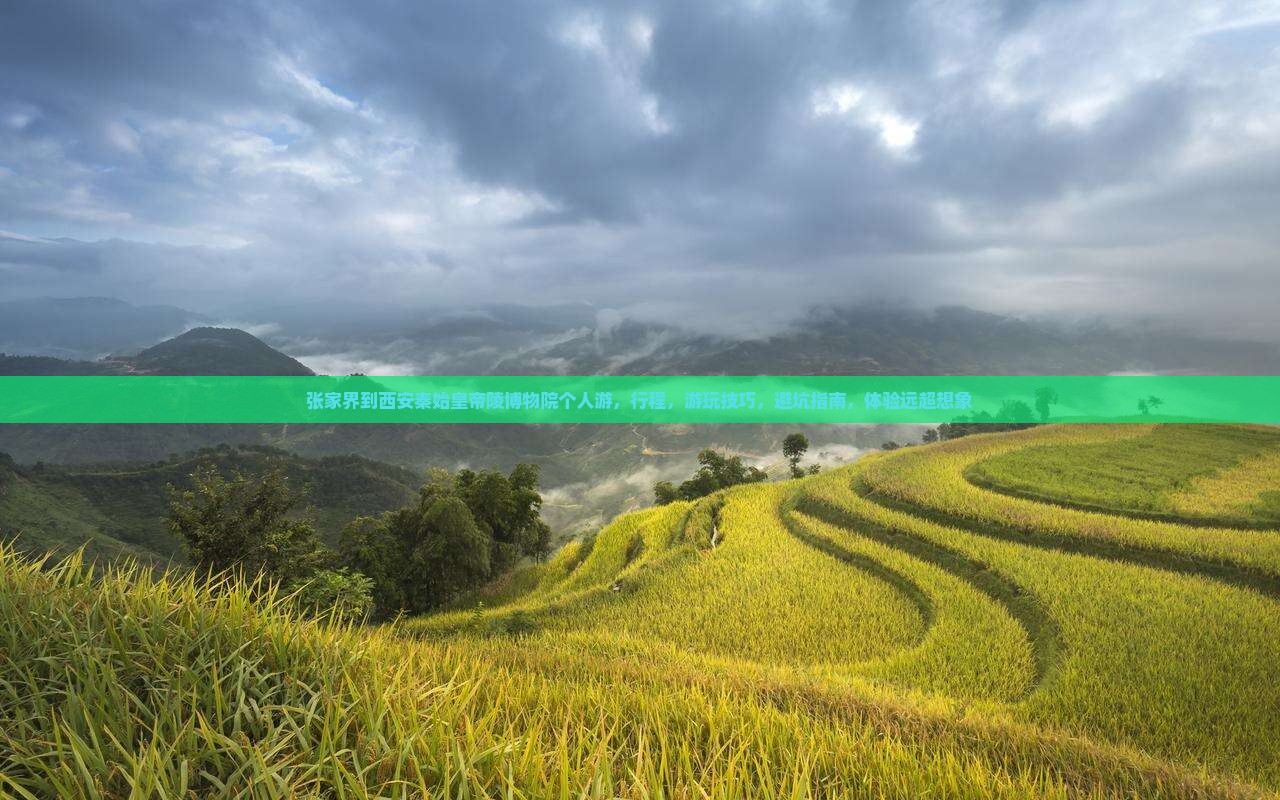 张家界到西安秦始皇帝陵博物院个人游