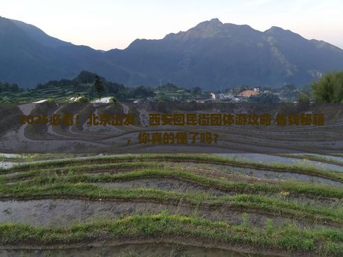 北京去西安回民街团体旅游