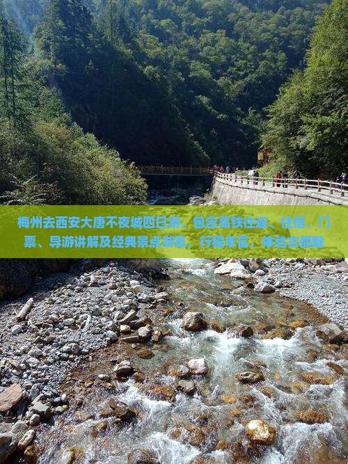 梅州去西安大唐不夜城四日游