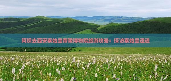 阿坝去西安秦始皇帝陵博物院大型旅游团