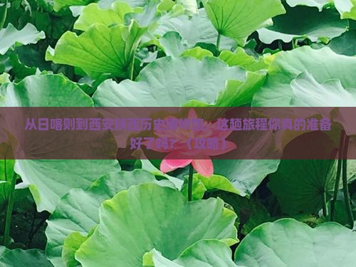 日喀则到西安陕西历史博物馆景点