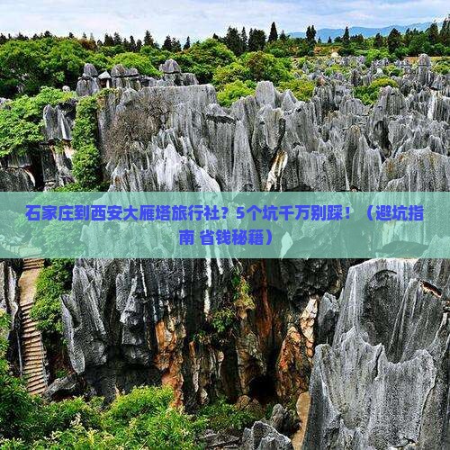 石家庄到西安大雁塔旅行社