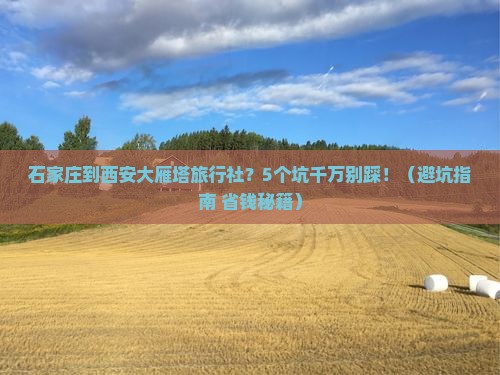 石家庄到西安大雁塔旅行社