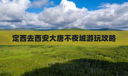 定西去西安大唐不夜城哪里玩