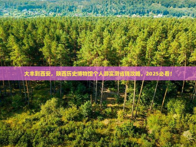 大丰到西安陕西历史博物馆个人游