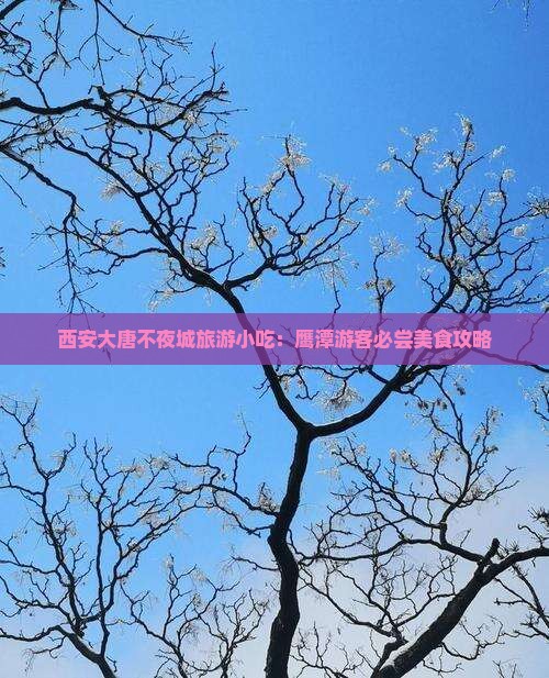 鹰潭去西安大唐不夜城旅游小吃
