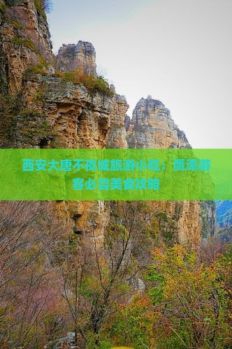 鹰潭去西安大唐不夜城旅游小吃