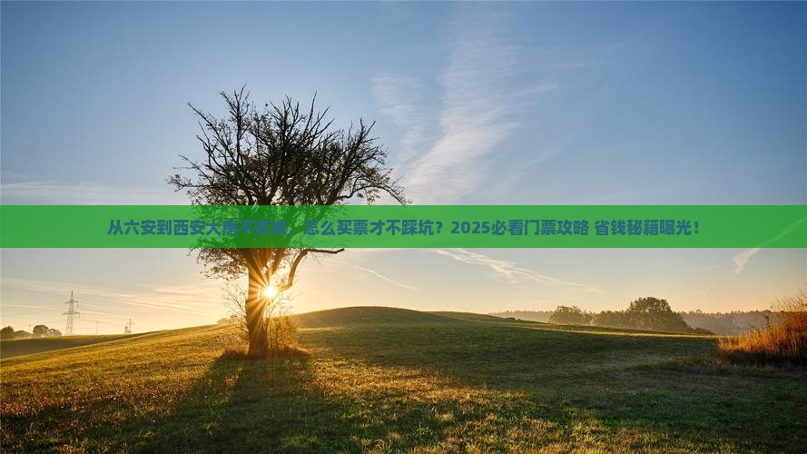 六安去西安大唐不夜城门票