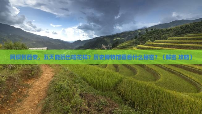 阿坝到西安陕西历史博物馆五日游