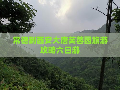 常德去西安大唐芙蓉园六日游 常德去西安大唐芙蓉园六日游
