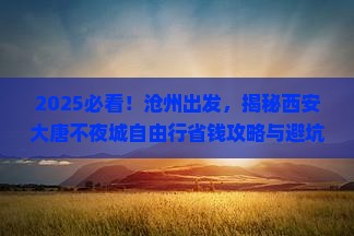 沧州到西安大唐不夜城自由行