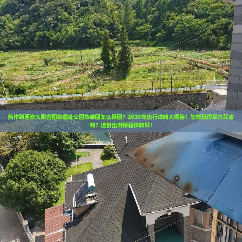 焦作到西安大明宫国家遗址公园大型旅游团