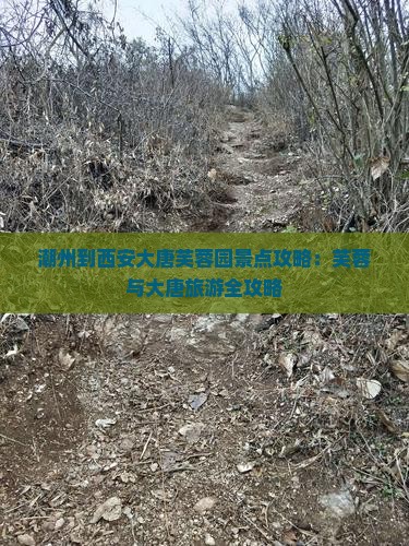 潮州到西安大唐芙蓉园景点