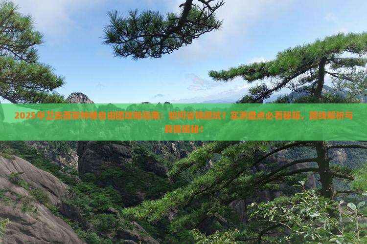中卫去西安钟楼自由团