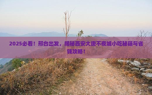 邢台去西安大唐不夜城旅游小吃