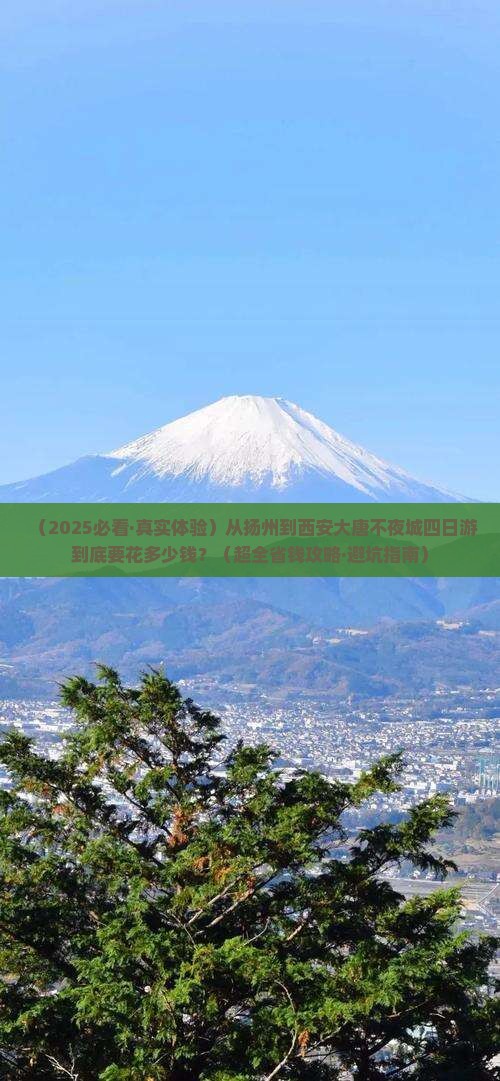 扬州到西安大唐不夜城四日游