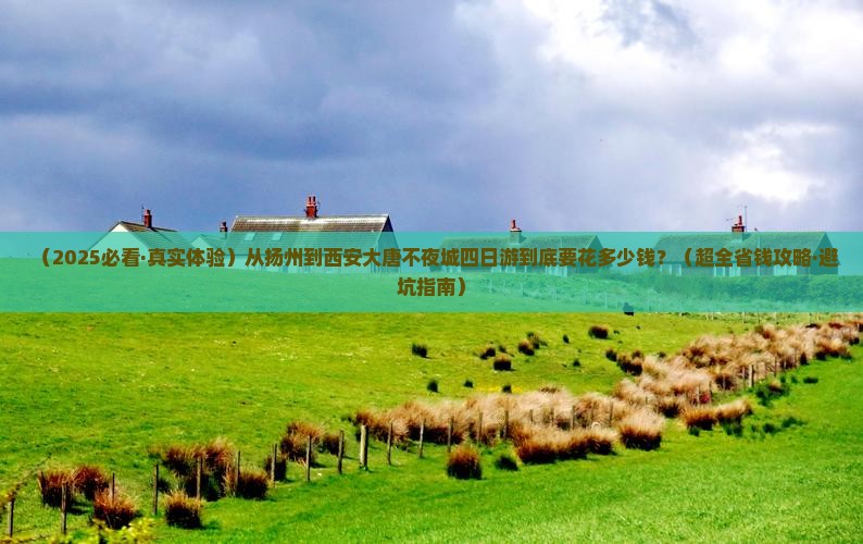 扬州到西安大唐不夜城四日游