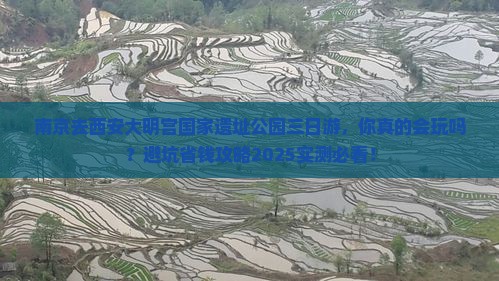 南京去西安大明宫国家遗址公园三日游