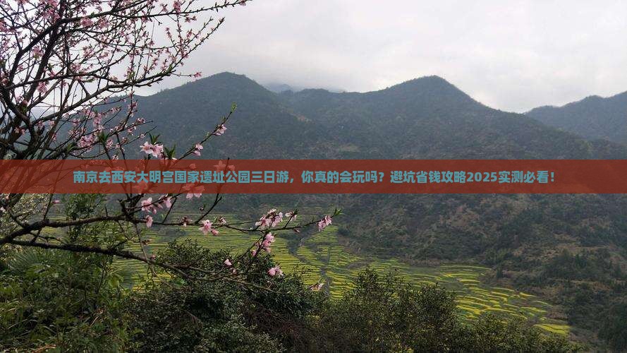 南京去西安大明宫国家遗址公园三日游